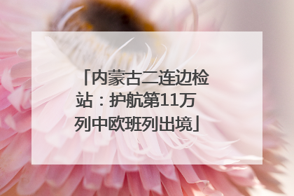 内蒙古二连边检站：护航第11万列中欧班列出境