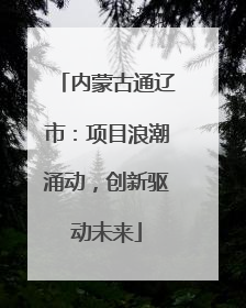 内蒙古通辽市：项目浪潮涌动，创新驱动未来