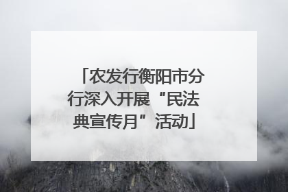 农发行衡阳市分行深入开展“民法典宣传月”活动