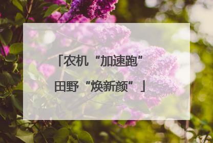 农机“加速跑” 田野“焕新颜”