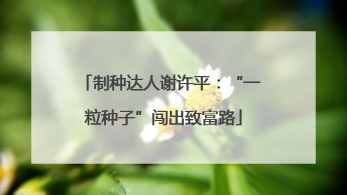制种达人谢许平：“一粒种子”闯出致富路