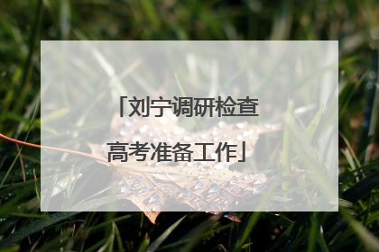 刘宁调研检查高考准备工作
