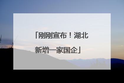 刚刚宣布！湖北新增一家国企