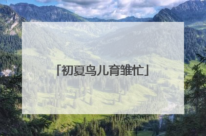 初夏鸟儿育雏忙