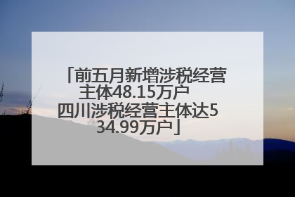 前五月新增涉税经营主体48.15万户 四川涉税经营主体达534.99万户