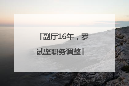 副厅16年，罗试坚职务调整