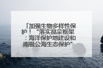 加强生物多样性保护！“落实昆蒙框架：海洋保护地建设和南极公海生态保护”主题论坛将举办