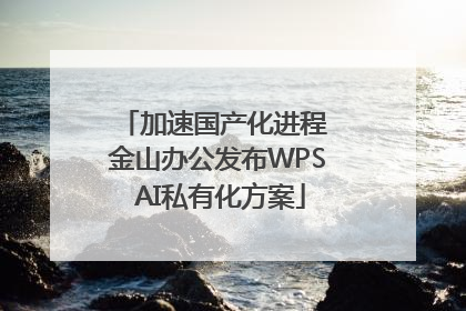 加速国产化进程 金山办公发布WPS AI私有化方案