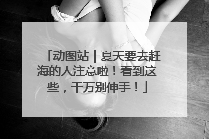 动图站｜夏天要去赶海的人注意啦！看到这些，千万别伸手！