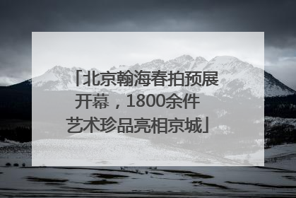 北京翰海春拍预展开幕，1800余件艺术珍品亮相京城