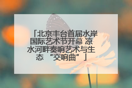 北京丰台首届水岸国际艺术节开幕 凉水河畔奏响艺术与生态 “交响曲”