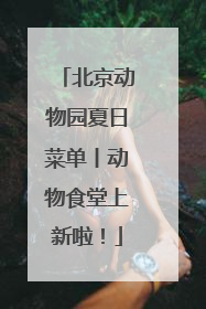 北京动物园夏日菜单丨动物食堂上新啦！