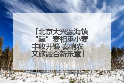 北京大兴瀛海镇“瀛”麦相承小麦丰收开镰 奏响农文旅融合新乐章