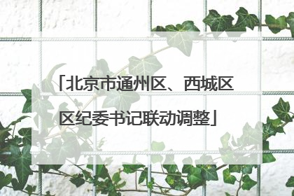 北京市通州区、西城区区纪委书记联动调整