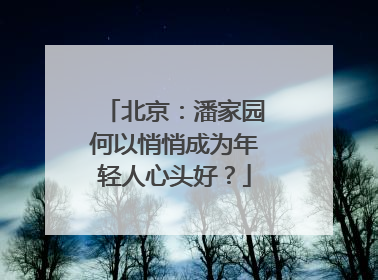 北京：潘家园何以悄悄成为年轻人心头好？