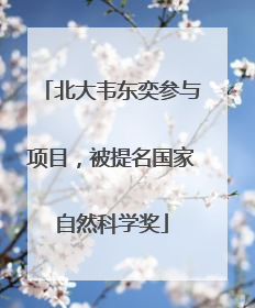 北大韦东奕参与项目，被提名国家自然科学奖