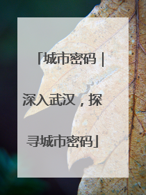 城市密码｜深入武汉，探寻城市密码
