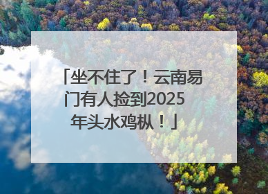 坐不住了！云南易门有人捡到2025年头水鸡枞！