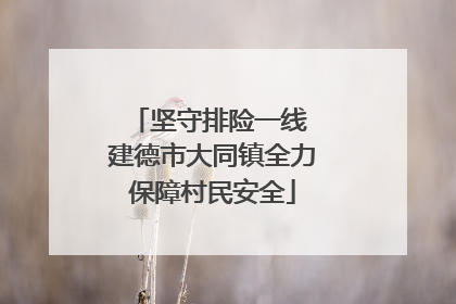 坚守排险一线 建德市大同镇全力保障村民安全