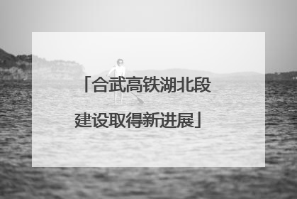 合武高铁湖北段建设取得新进展