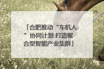 合肥推动“车机人”协同计划 打造聚合型智能产业集群
