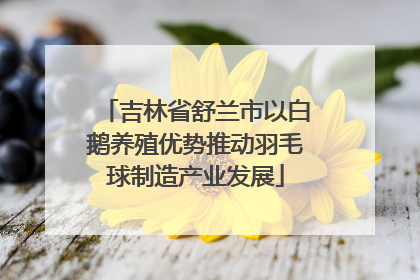 吉林省舒兰市以白鹅养殖优势推动羽毛球制造产业发展