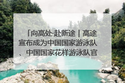 向高处·赴新途｜高途宣布成为中国国家游泳队、中国国家花样游泳队官方学习合作伙伴