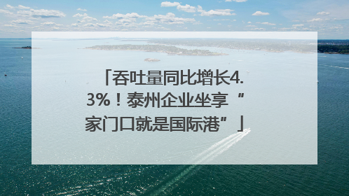吞吐量同比增长4.3%！泰州企业坐享“家门口就是国际港”
