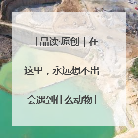 品读·原创｜在这里，永远想不出会遇到什么动物