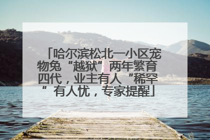 哈尔滨松北一小区宠物兔“越狱”两年繁育四代，业主有人“稀罕”有人忧，专家提醒