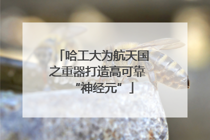 哈工大为航天国之重器打造高可靠“神经元”