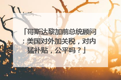 哥斯达黎加前总统顾问：美国对外加关税，对内猛补贴，公平吗？