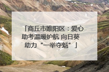 商丘市睢阳区：爱心助考温暖护航 向日葵助力“一举夺魁”