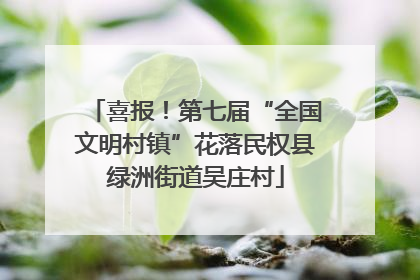 喜报！第七届“全国文明村镇”花落民权县绿洲街道吴庄村