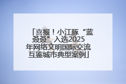 喜报！小江豚“蓝叒叒”入选2025年网络文明国际交流互鉴城市典型案例