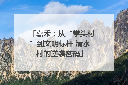 嘉禾：从“拳头村”到文明标杆 清水村的逆袭密码