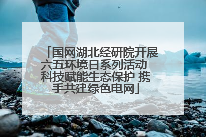 国网湖北经研院开展六五环境日系列活动 科技赋能生态保护 携手共建绿色电网