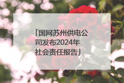 国网苏州供电公司发布2024年社会责任报告