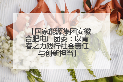 国家能源集团安徽合肥电厂团委：以青春之力践行社会责任与创新担当