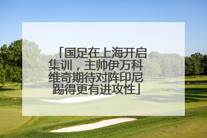 国足在上海开启集训，主帅伊万科维奇期待对阵印尼踢得更有进攻性