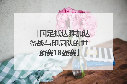 国足抵达雅加达备战与印尼队的世预赛18强赛