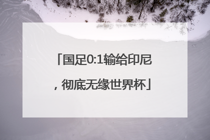 国足0:1输给印尼，彻底无缘世界杯