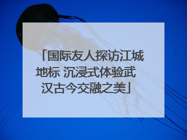 国际友人探访江城地标 沉浸式体验武汉古今交融之美