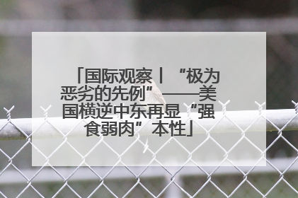 国际观察丨“极为恶劣的先例”——美国横逆中东再显“强食弱肉”本性