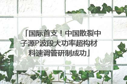 国际首支！中国散裂中子源P波段大功率超构材料速调管研制成功