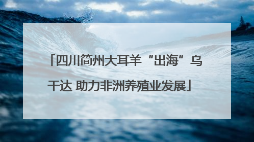 四川简州大耳羊“出海”乌干达 助力非洲养殖业发展