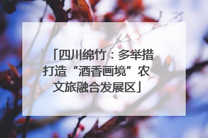 四川绵竹：多举措打造“酒香画境”农文旅融合发展区