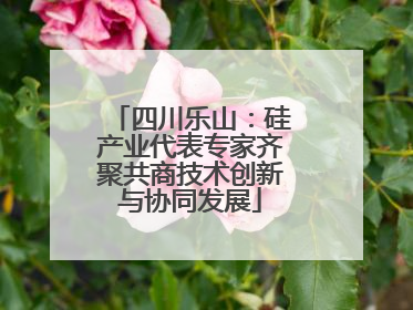 四川乐山：硅产业代表专家齐聚共商技术创新与协同发展