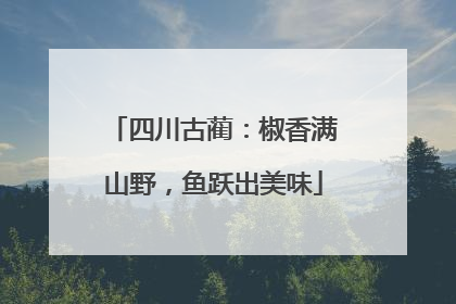 四川古蔺：椒香满山野，鱼跃出美味