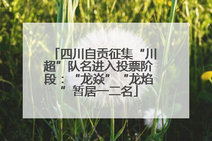 四川自贡征集“川超”队名进入投票阶段：“龙焱”“龙焰”暂居一二名
